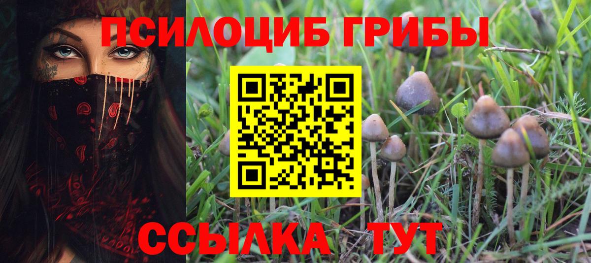 Псилоцибиновые грибы прущие грибы  наркота  Волжский  Вход с VPN 